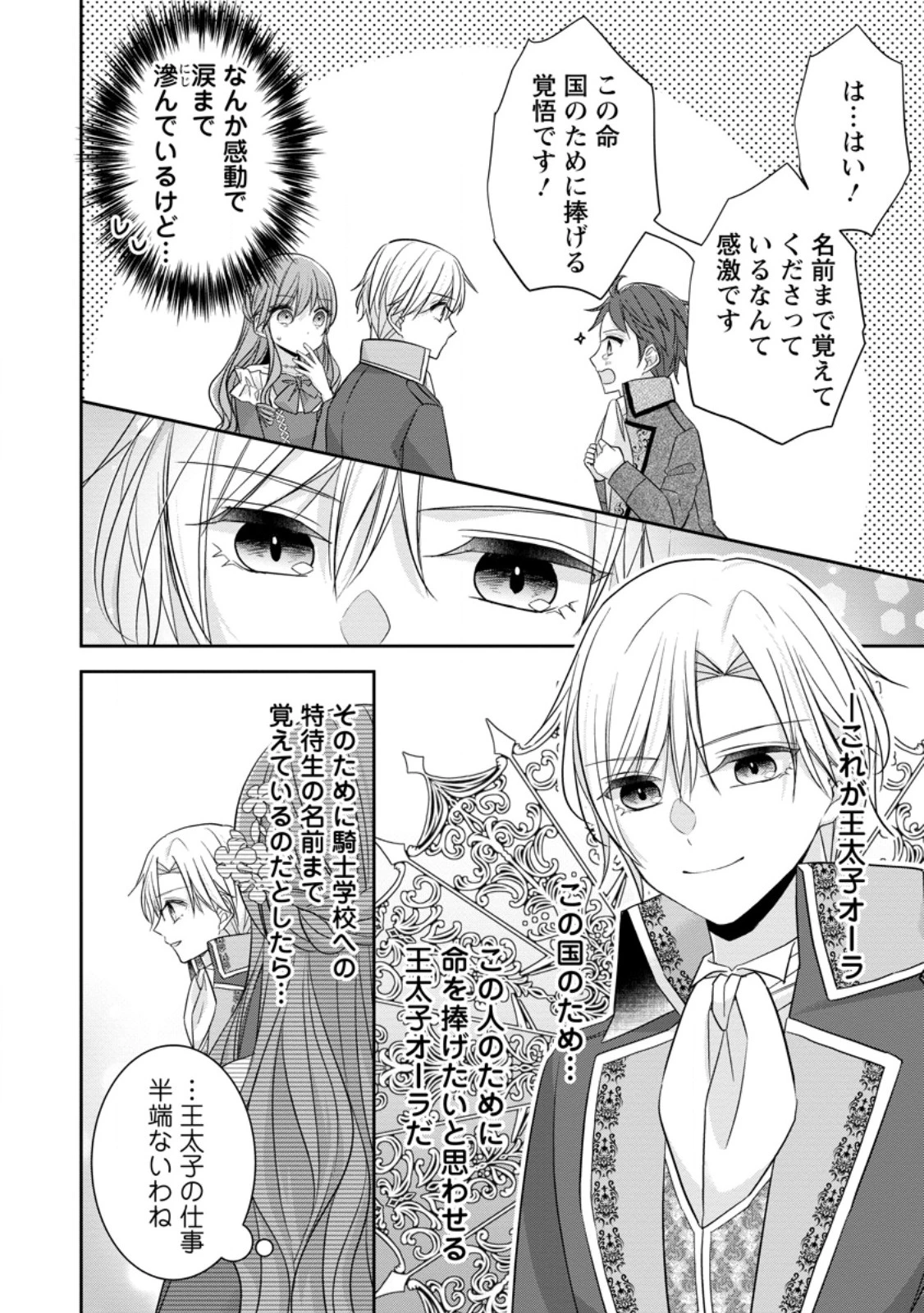 婚約解消を提案したら王太子様に溺愛されました　～お手をどうぞ、僕の君～ 第6.3話 - 2