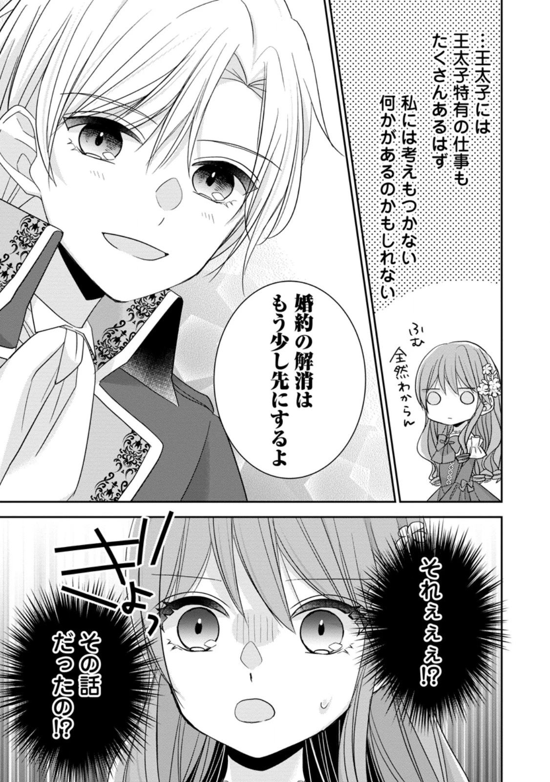 婚約解消を提案したら王太子様に溺愛されました　～お手をどうぞ、僕の君～ 第6.2話 - 4