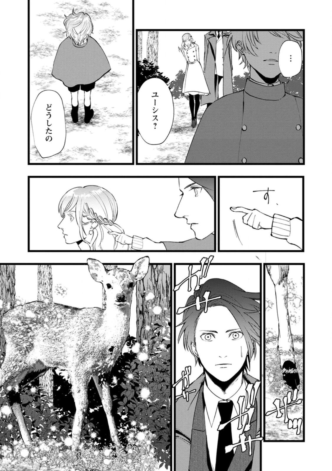 どクズな家族と別れる方法 天才の姉は実はダメ女。無能と言われた妹は救国の魔導士だった 第11.2話 - 2