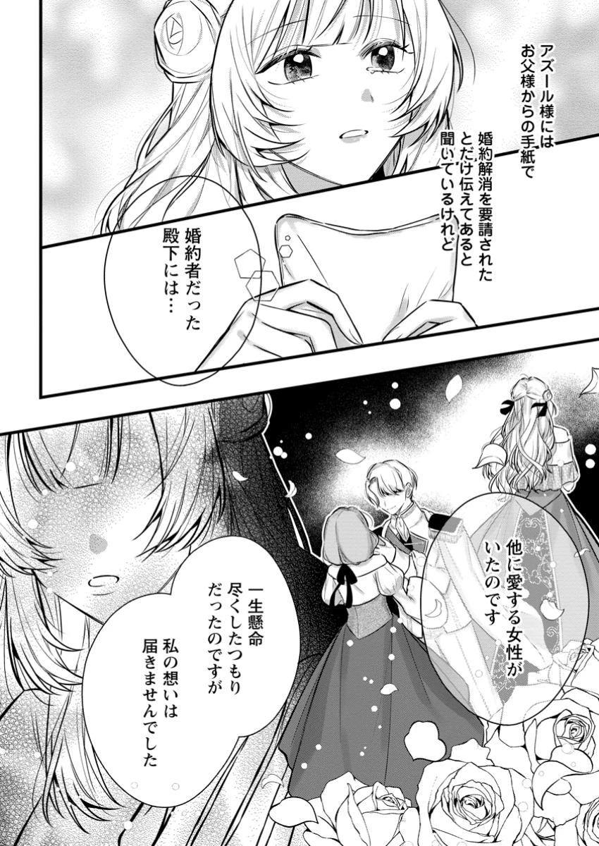感情が天候に反映される特殊能力持ち令嬢は婚約解消されたので不毛の大地へ嫁ぎたい 第3話 - 6