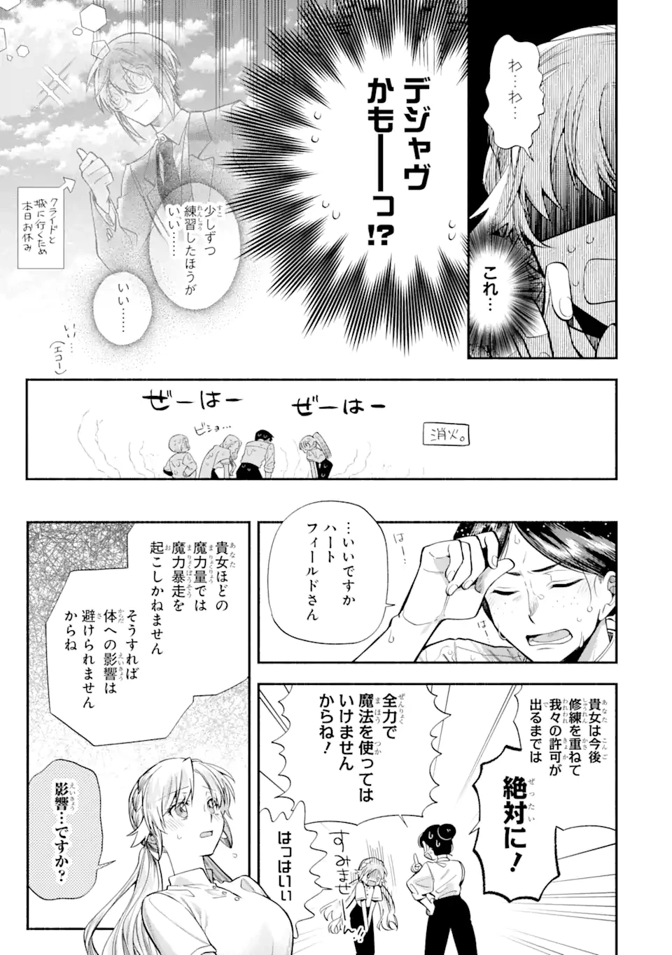 家から逃げ出したい私が、うっかり憧れの大魔法使い様を買ってしまったら 第26.1話 - 9