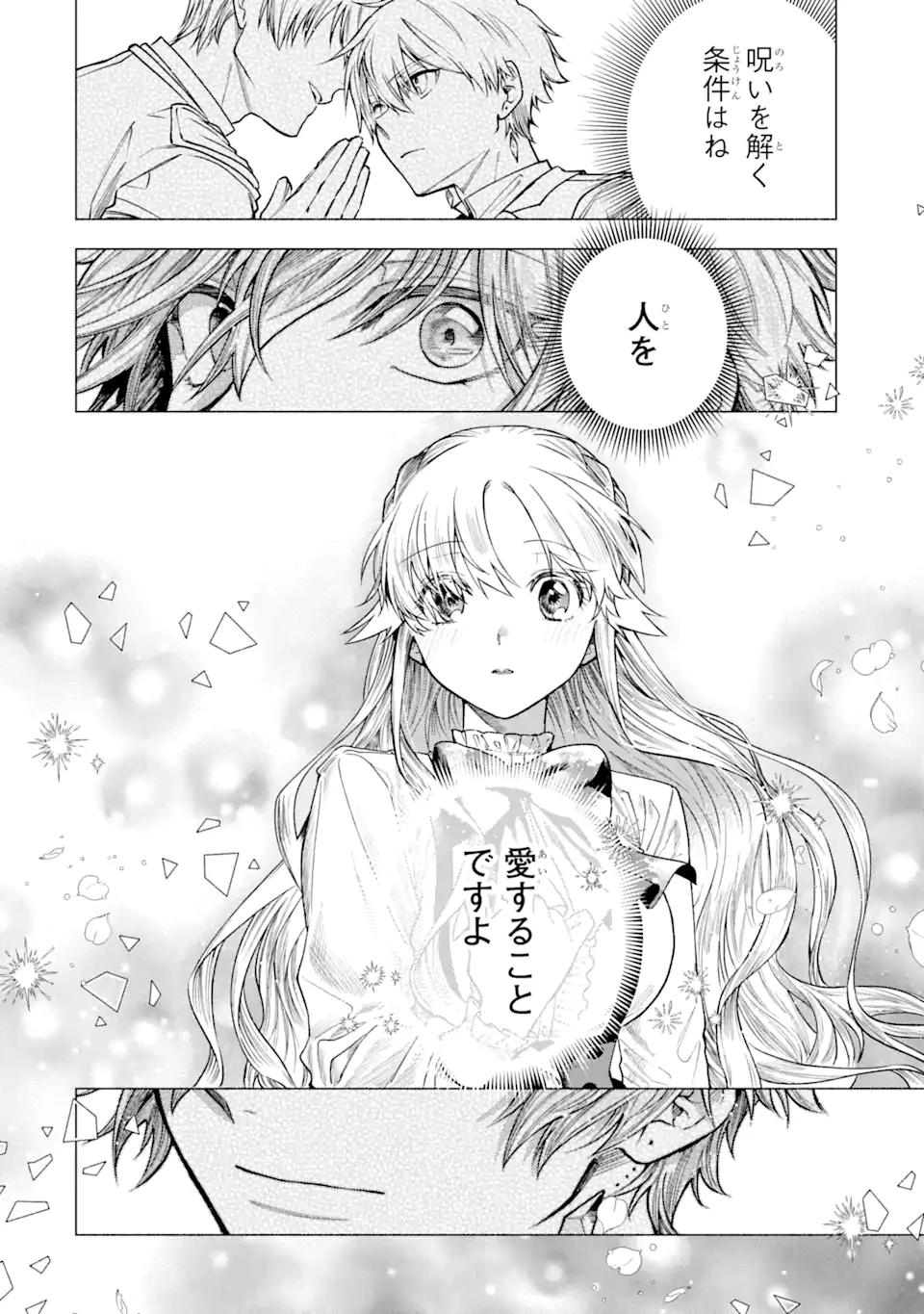 家から逃げ出したい私が、うっかり憧れの大魔法使い様を買ってしまったら 第25.4話 - 9