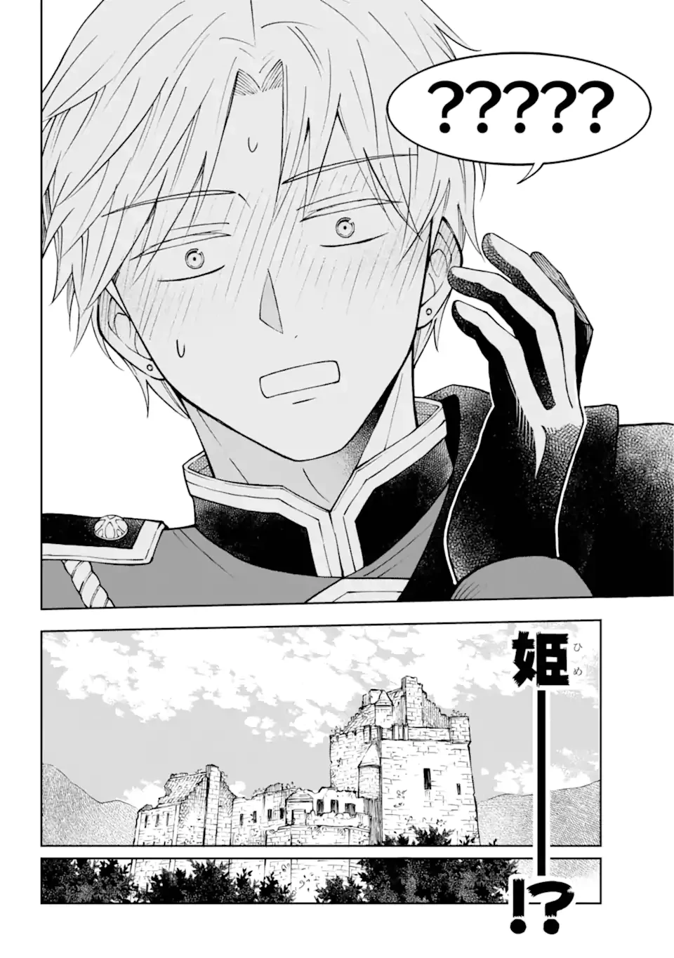 ひねくれ騎士とふわふわ姫様 古城暮らしと小さなおうち 第2.4話 - 8