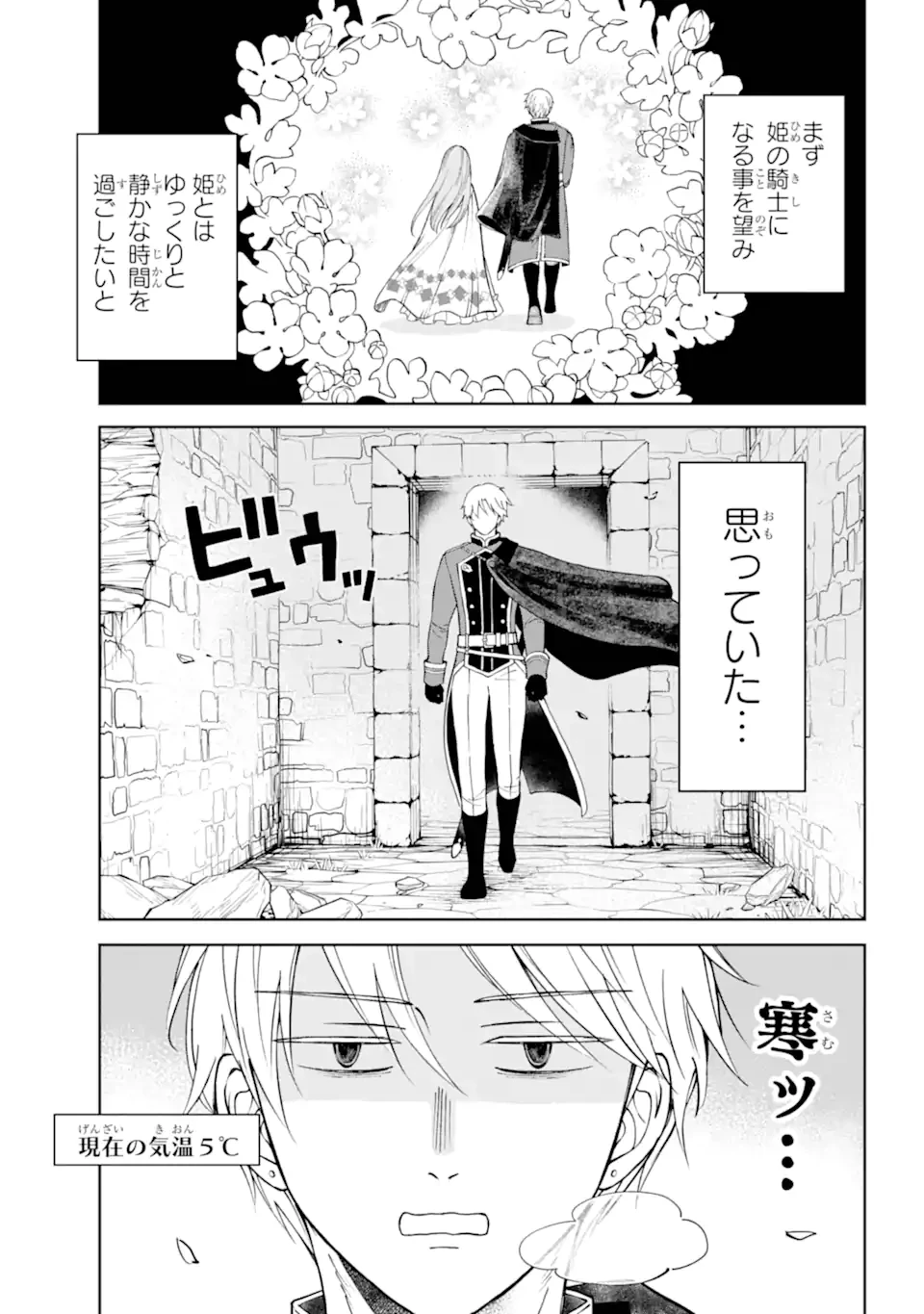 ひねくれ騎士とふわふわ姫様 古城暮らしと小さなおうち 第2.1話 - 5