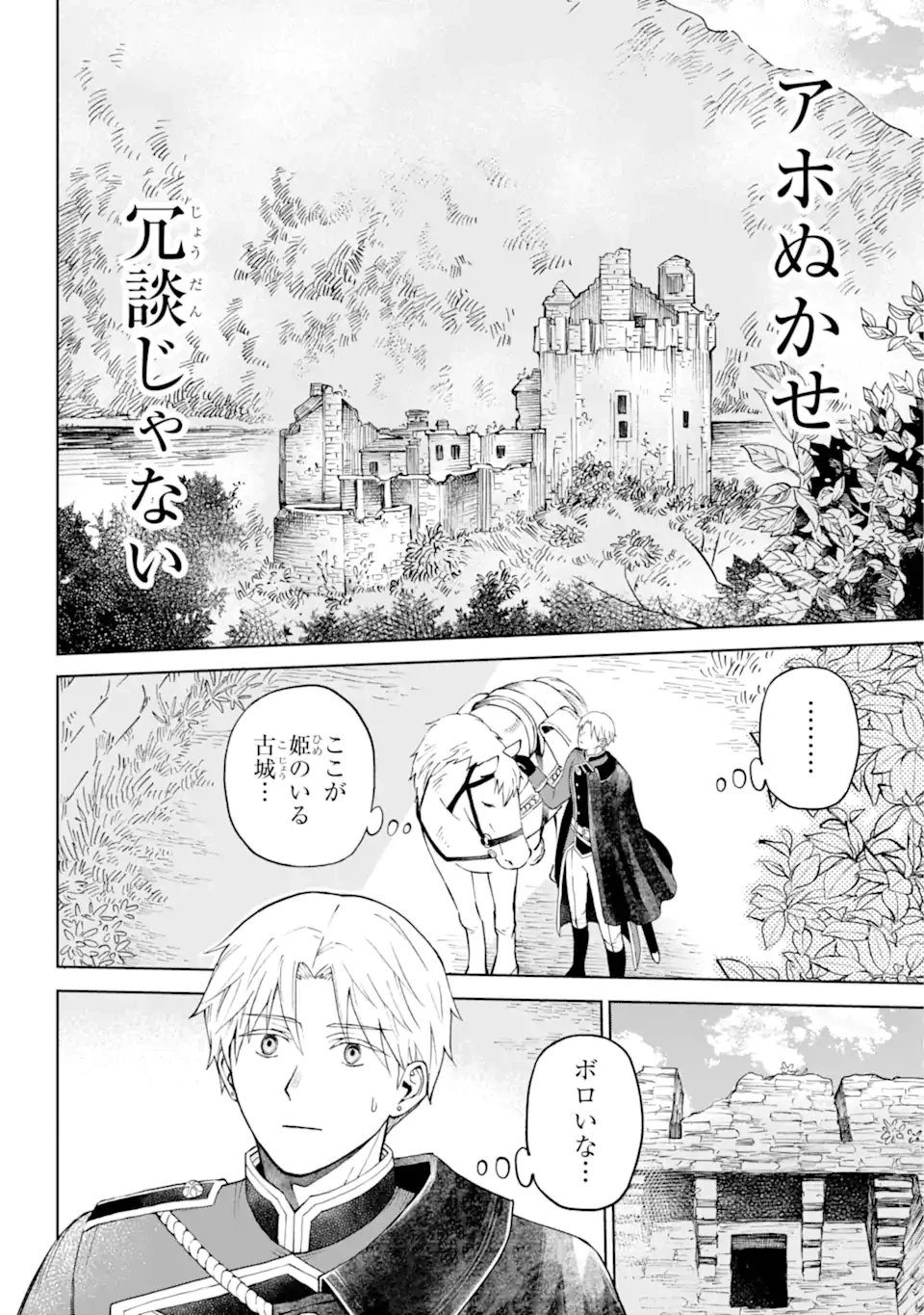 ひねくれ騎士とふわふわ姫様 古城暮らしと小さなおうち 第1.1話 - 10