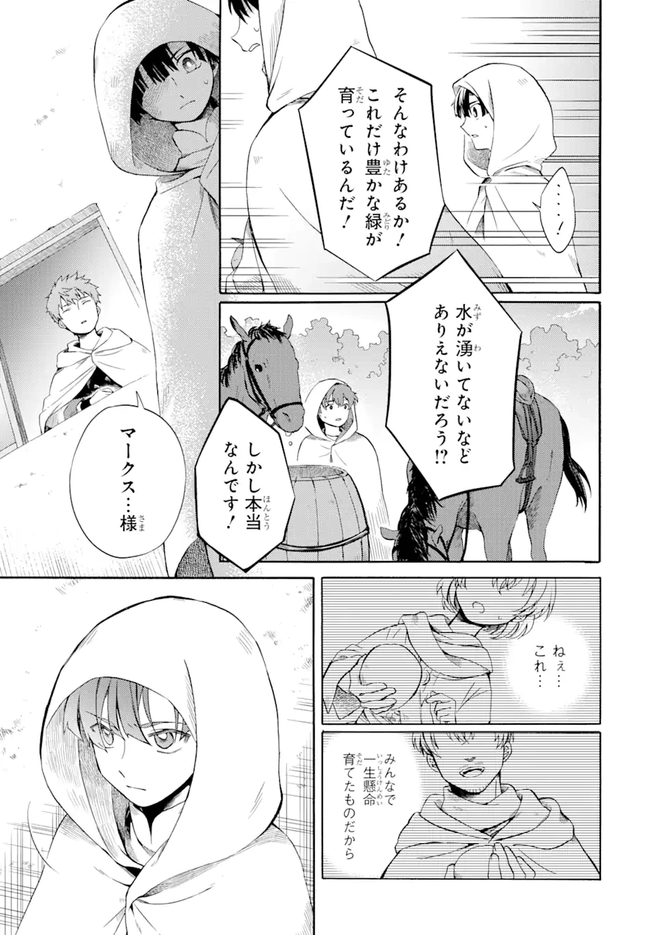 砂漠の国の雨降らし姫～前世で処刑された魔法使いは農家の娘になりました～ 第4.1話 - 5