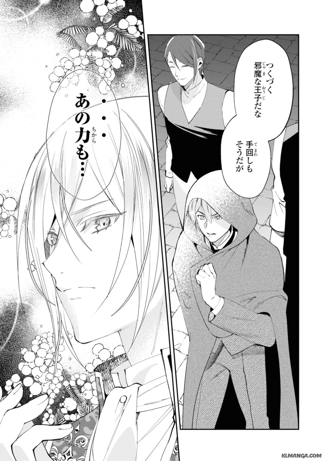 まがいもの令嬢から愛され薬師になりました 第5.3話 - 9