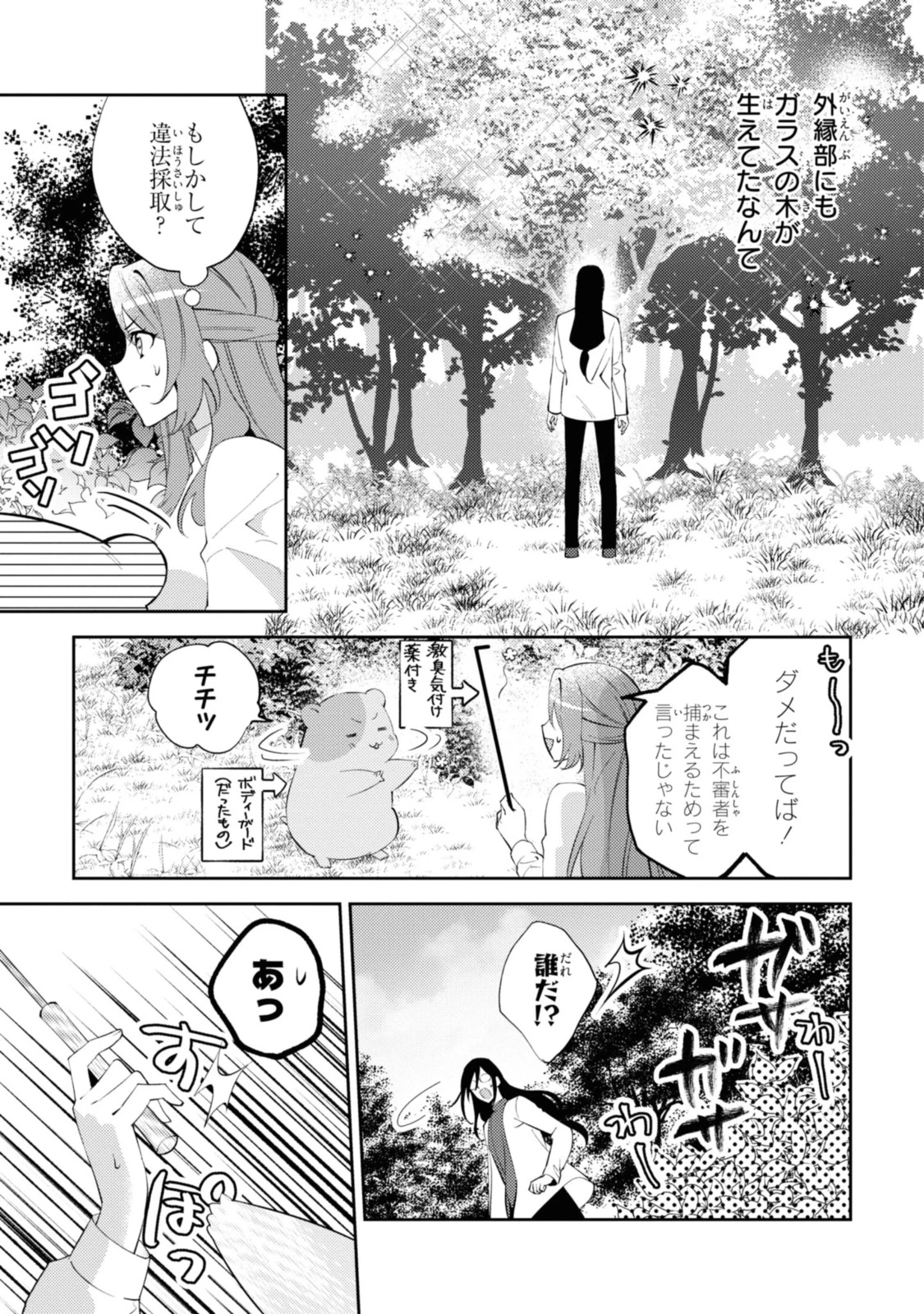 まがいもの令嬢から愛され薬師になりました 第3.2話 - 5