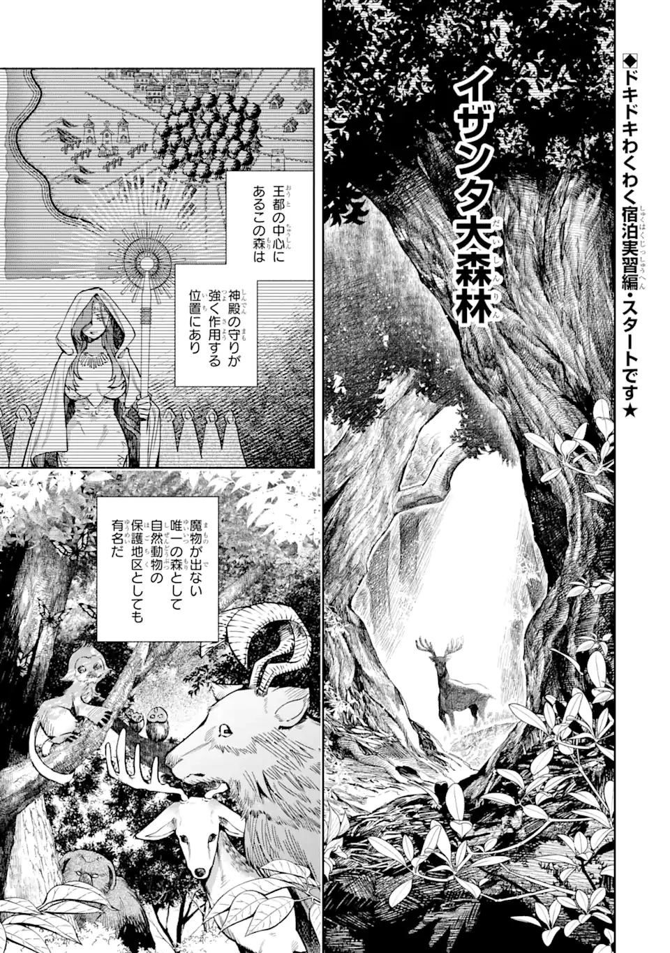 家から逃げ出したい私が、うっかり憧れの大魔法使い様を買ってしまったら 第27話 - 1