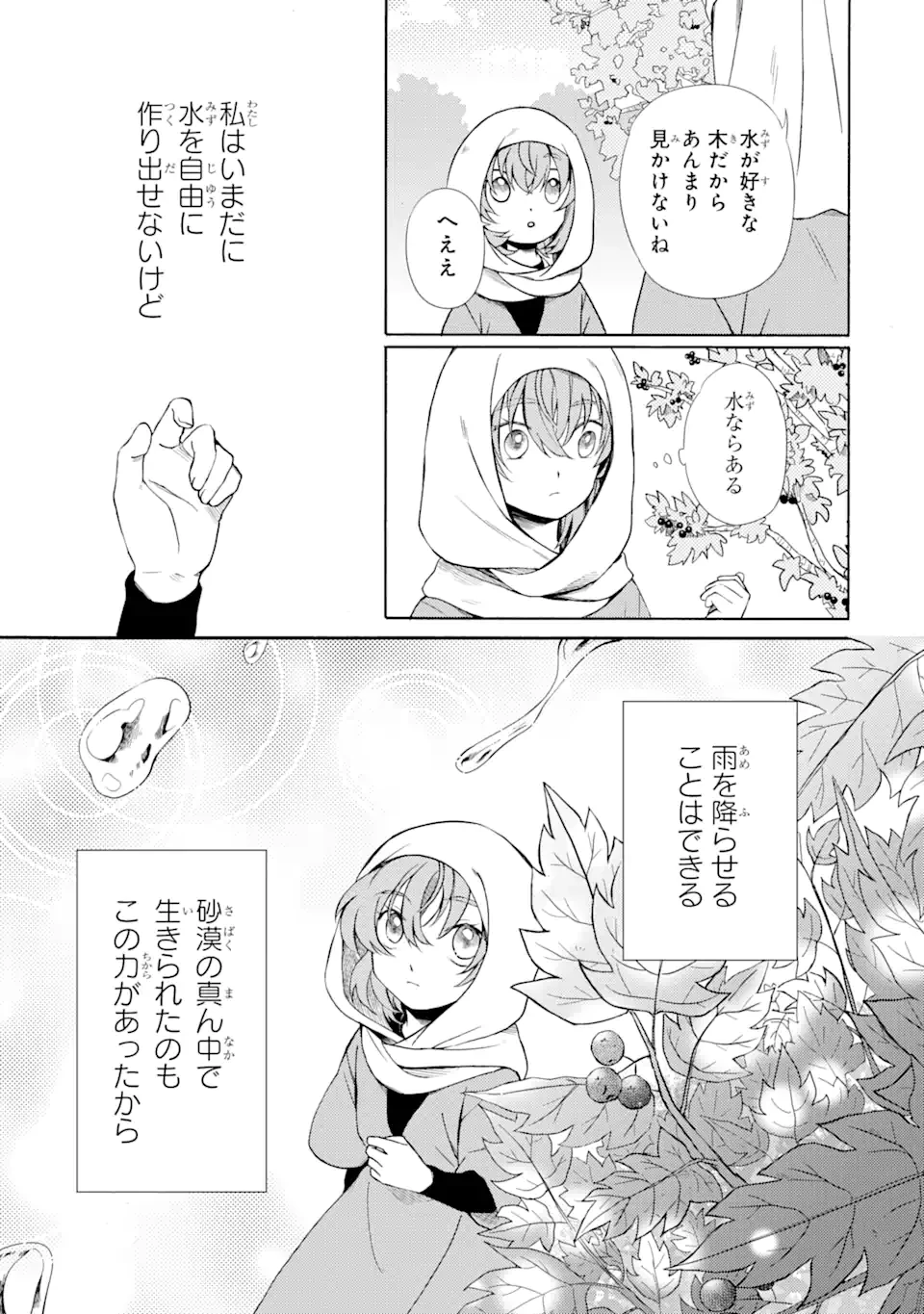 砂漠の国の雨降らし姫～前世で処刑された魔法使いは農家の娘になりました～ 第7話 - 9