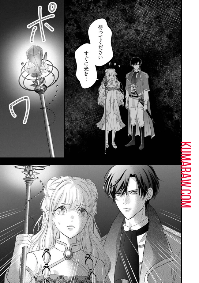 空っぽ聖女として捨てられたはずが、嫁ぎ先の皇帝陛下に溺愛されています 第11.2話 - 5