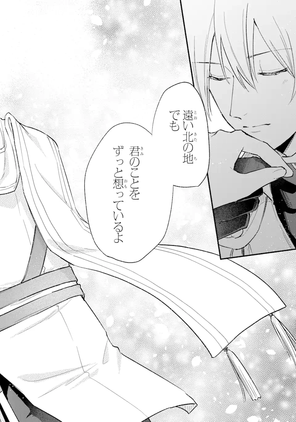 婚約破棄されたのに元婚約者の結婚式に招待されました。断れないので兄の友人に同行してもらいます。 第11.1話 - 10