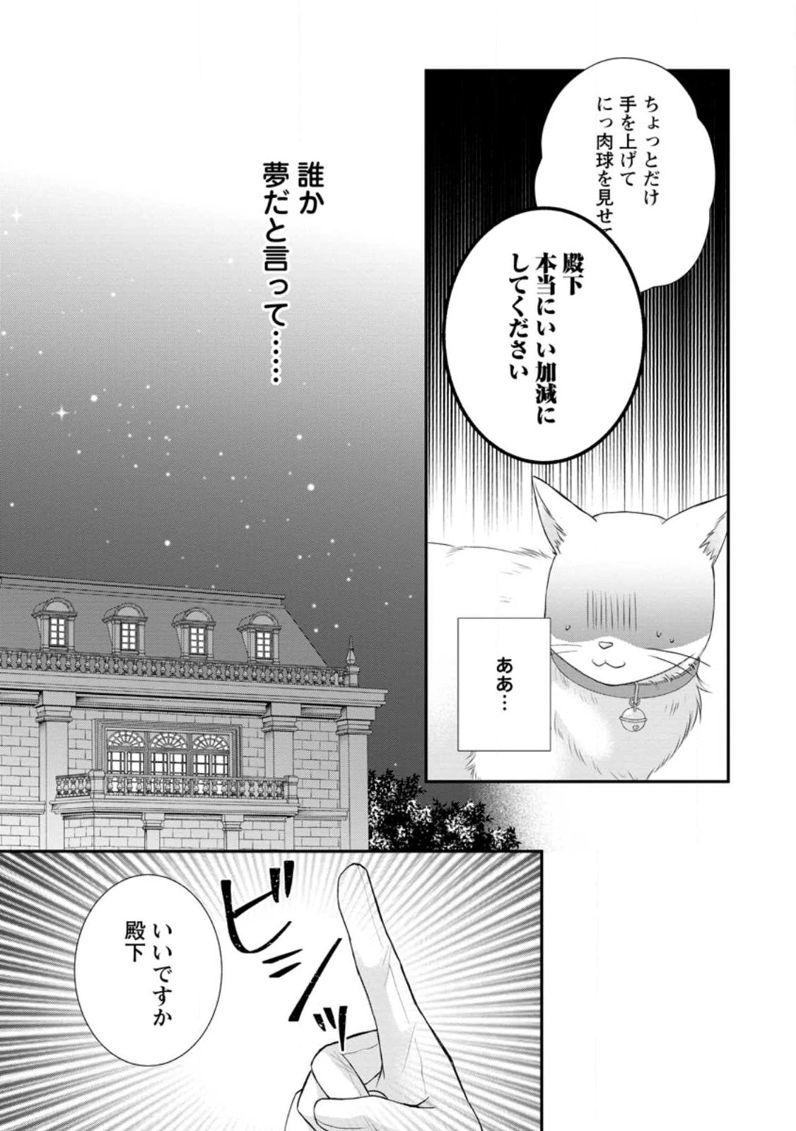 呪いで猫にされた悪女、王太子に拾われる。 第3.2話 - 3