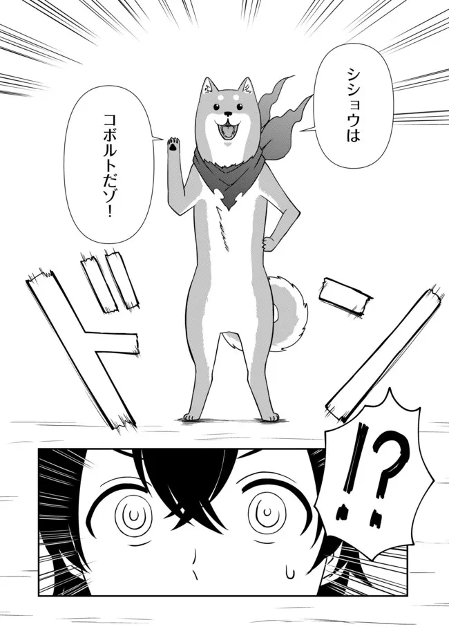 ひとりぼっちの異世界放浪～追放されたＦランク冒険者はコボルトだけをお供に旅をする～ 第2.2話 - 12