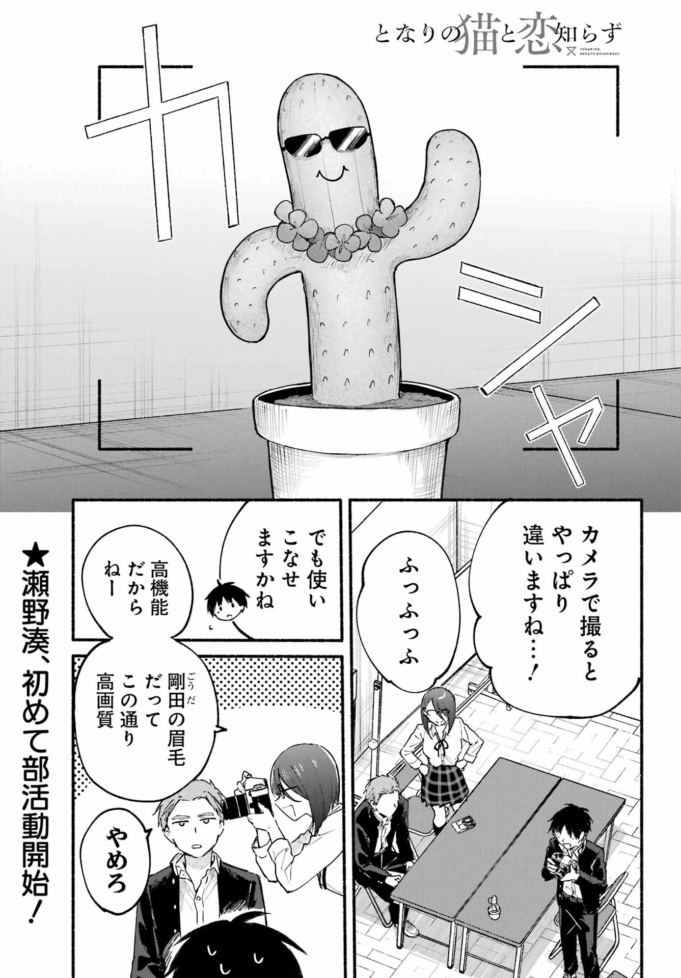 となりの猫と恋知らず 第4話 - 1