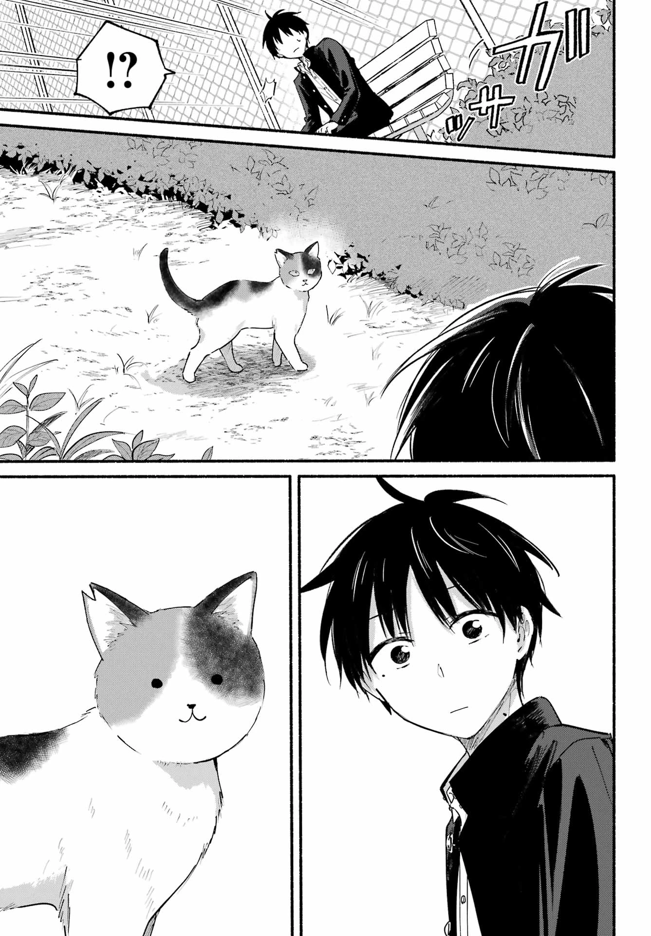 となりの猫と恋知らず 第3話 - 17