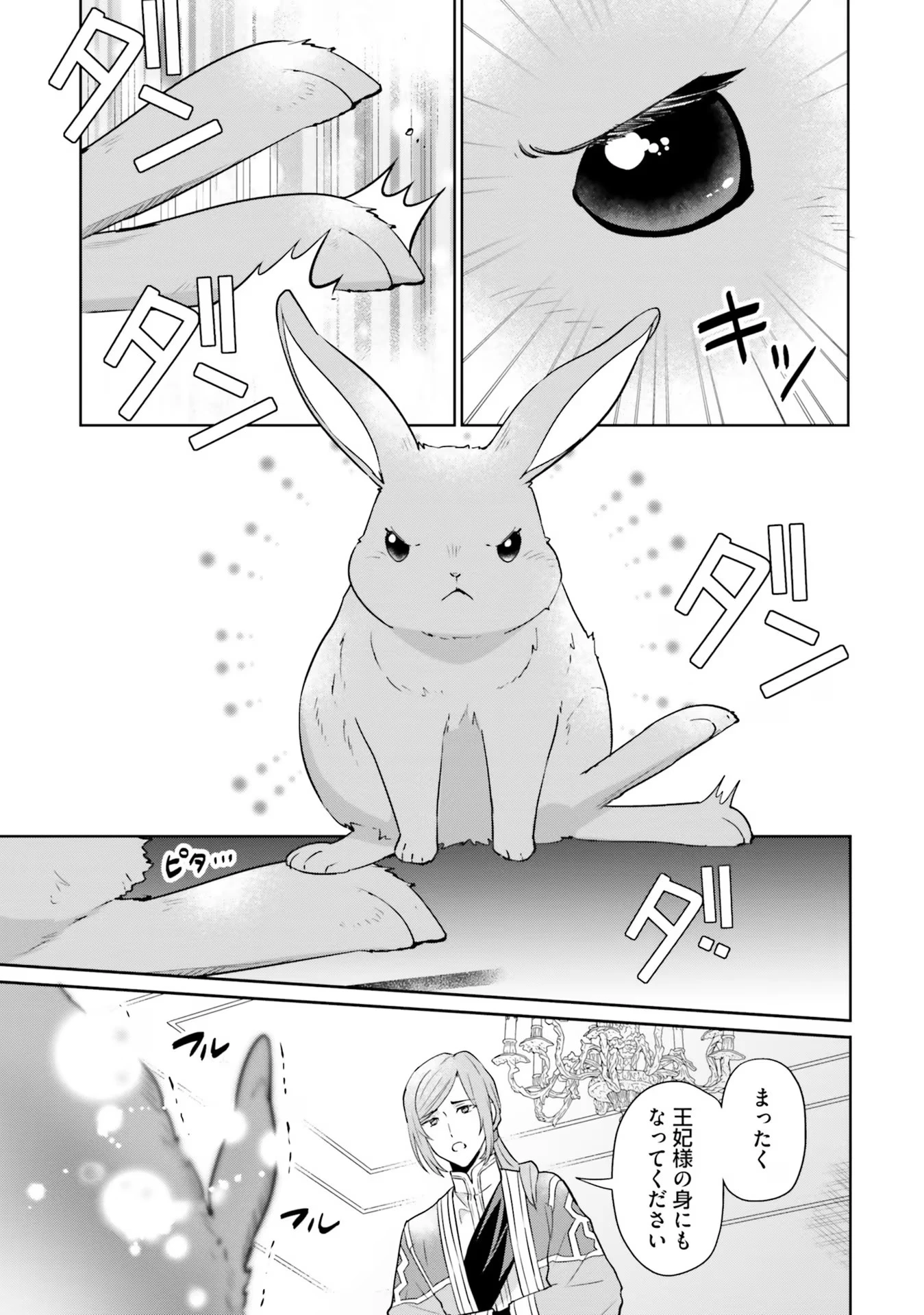 お飾り王妃になったので、こっそり働きに出ることにしました ～うさぎがいるので独り寝も寂しくありません！～ 第14話 - 19