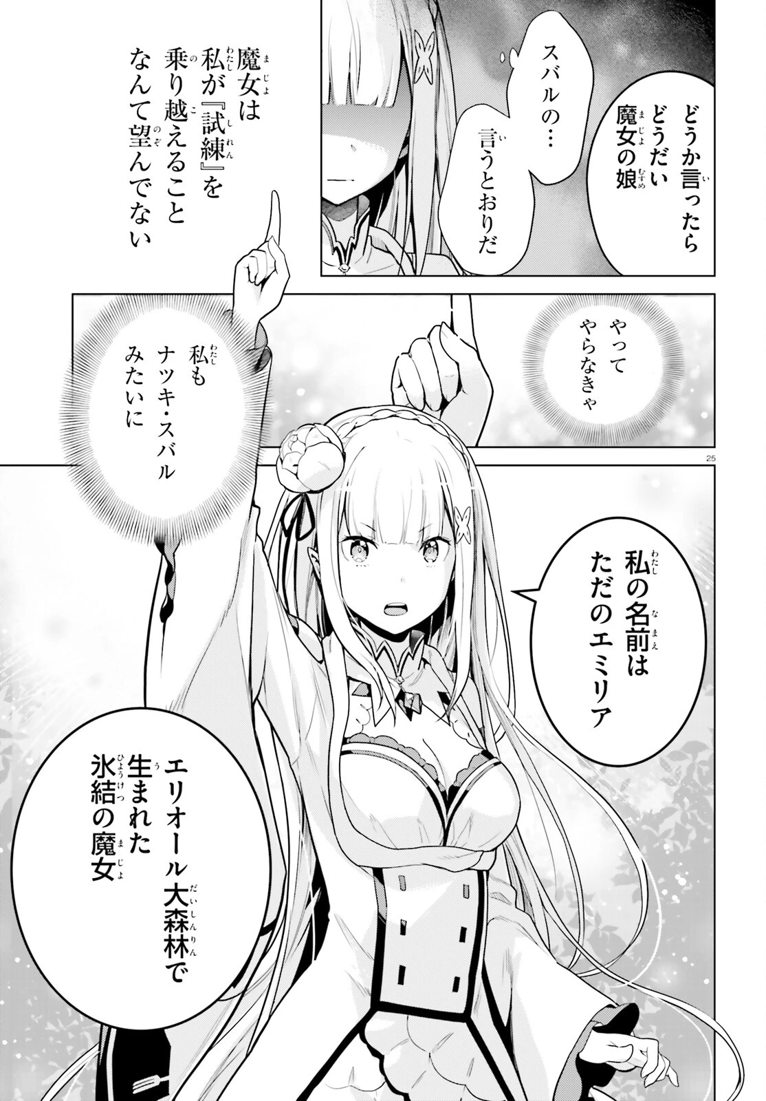 Re:ゼロから始める異世界生活 第四章 聖域と強欲の魔女 第50話 - 25