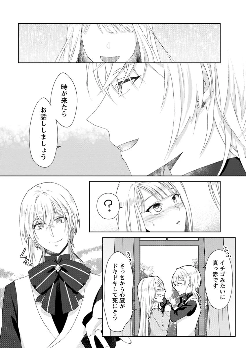 断罪されている悪役令嬢と入れ替わって婚約者たちをぶっ飛ばしたら、溺愛が待っていました 第13.1話 - 8