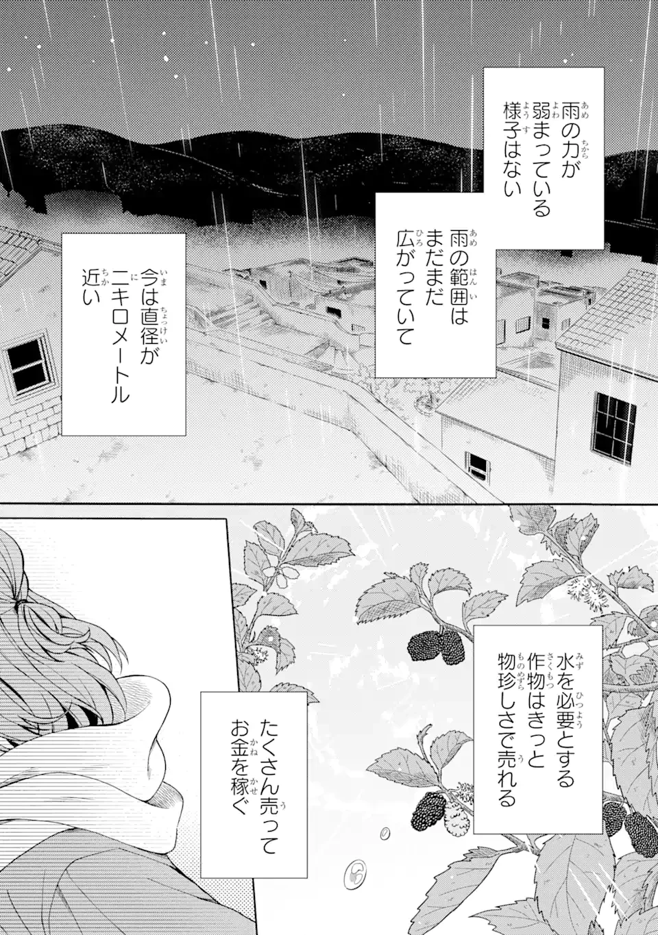 砂漠の国の雨降らし姫～前世で処刑された魔法使いは農家の娘になりました～ 第8.1話 - 3