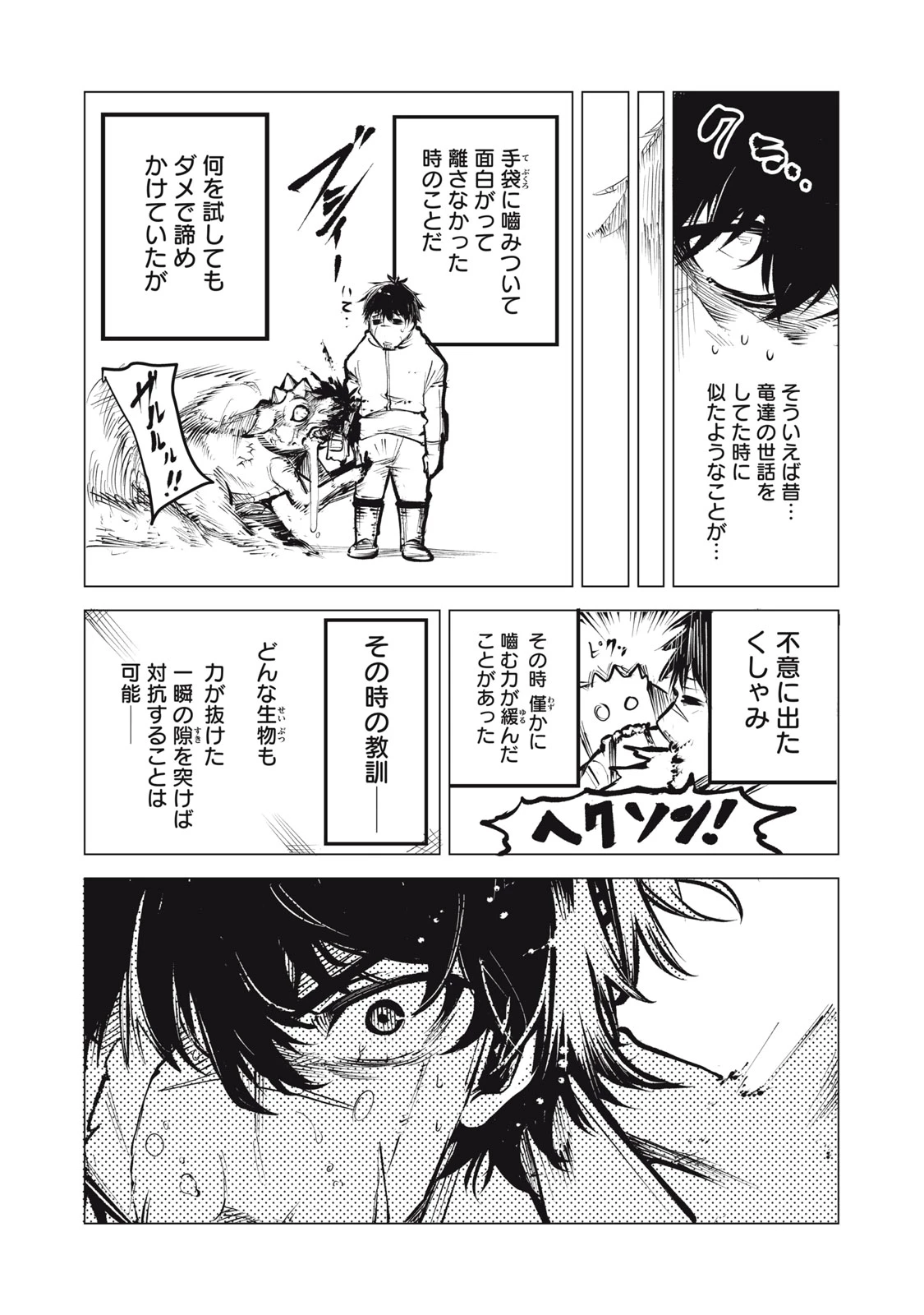 国を追われた竜師さん、拾われた隣国でうっかり無双してしまう。〜弱小国家が大陸最強の竜の楽園になるまで〜 第6話 - 6