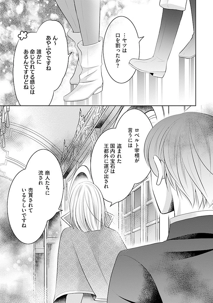 美形王子が苦手な破天荒モブ令嬢は自分らしく生きていきたい！ 第11.2話 - 2