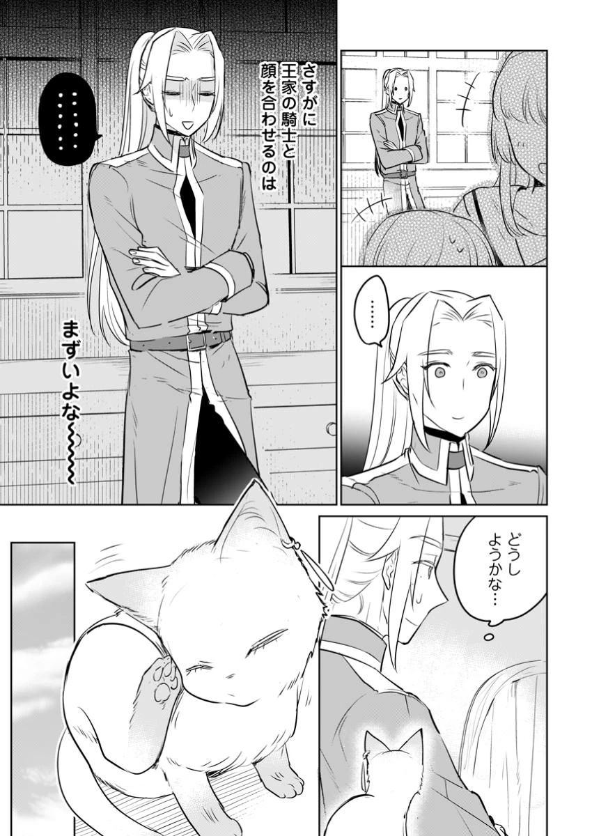 聖女じゃないと追放されたので、もふもふ従者(聖獣)とおにぎりを握る 第35.1話 - 9