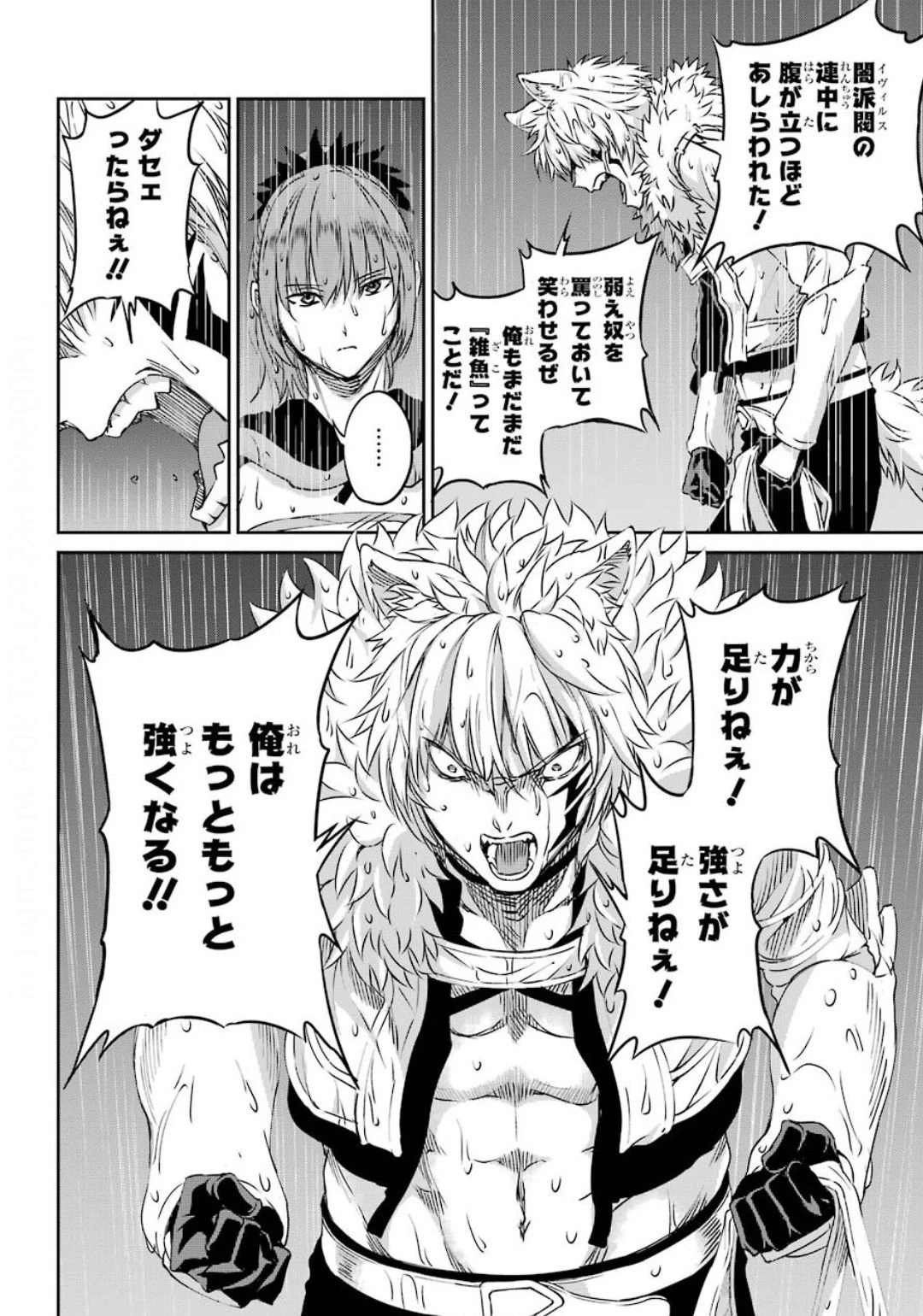ダンジョンに出会いを求めるのは間違っているだろうか 外伝 ソード・オラトリア 第74話 - 18