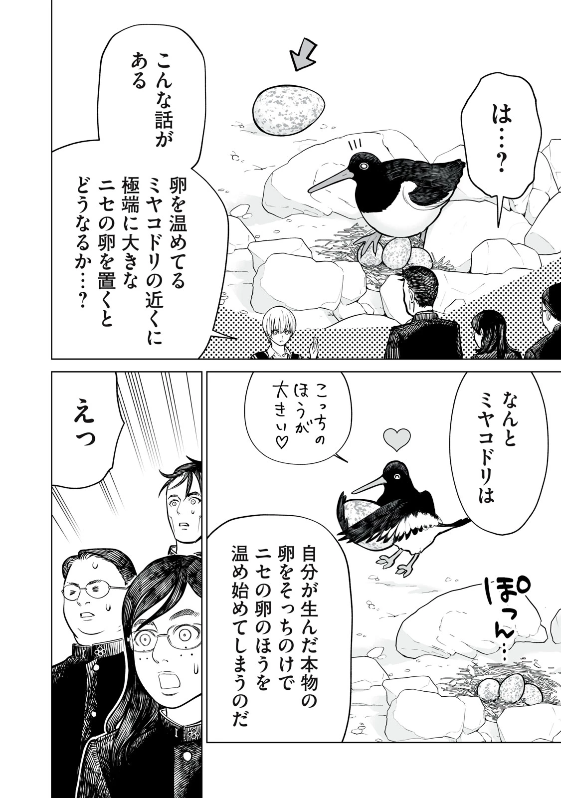 あくまでクジャクの話です。 第15話 - 16