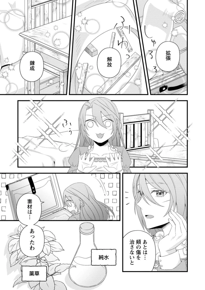 無能と言われた錬金術師　～家を追い出されましたが、凄腕だとバレて侯爵様に拾われました～ 第1話 - 19