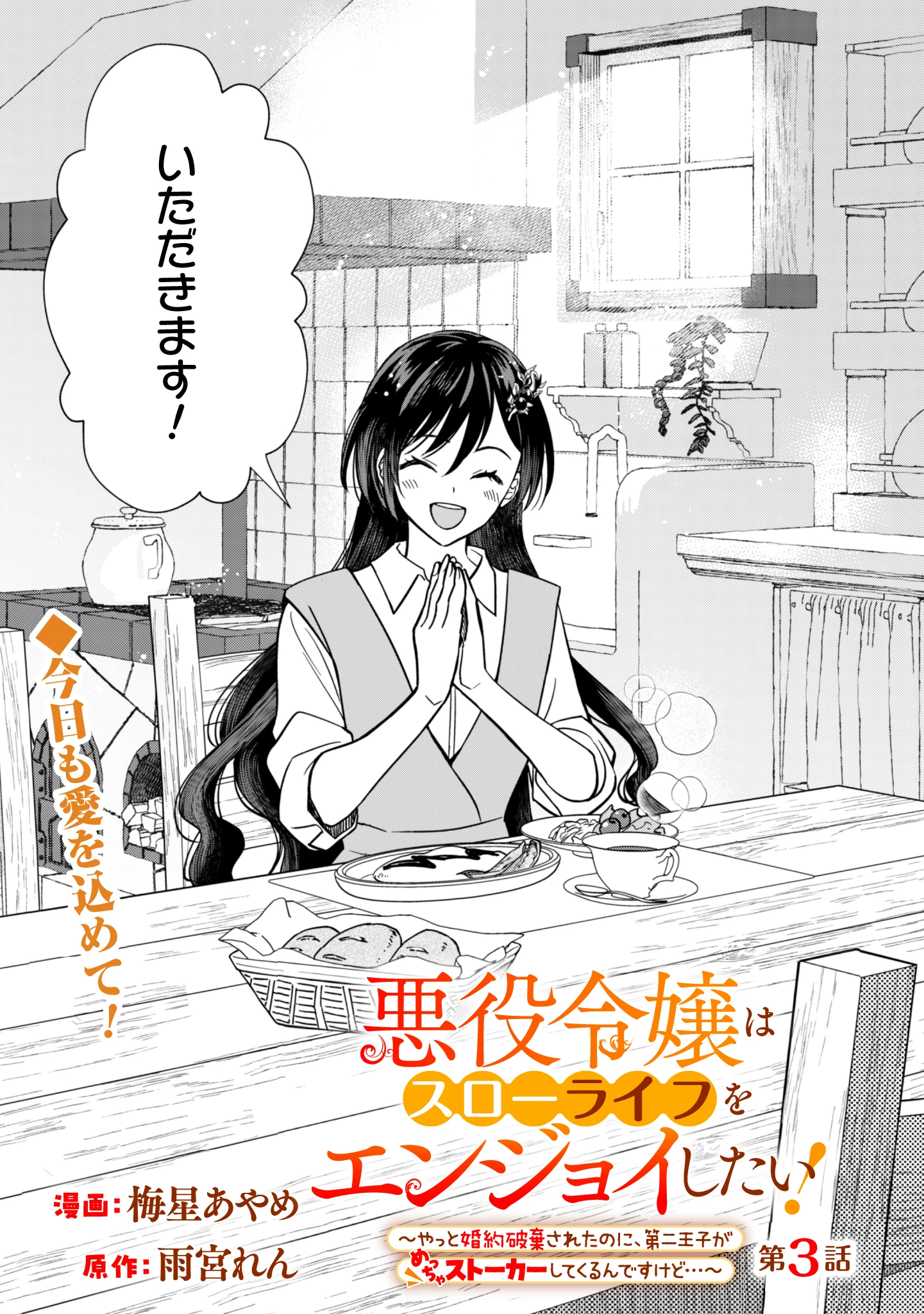 悪役令嬢はスローライフをエンジョイしたい!〜やっと婚約破棄されたのに、第二王子がめっちゃストーカーしてくるんですけど…〜 第3話 - 1