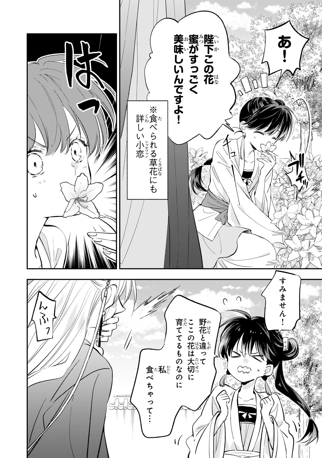 後宮の雑用姫　～山育ちの知恵を駆使して宮廷をリフォームしたり、邪悪なものを狩ったりしていたら、何故か皇帝達から一目置かれるようになりました～ 第19話 - 14