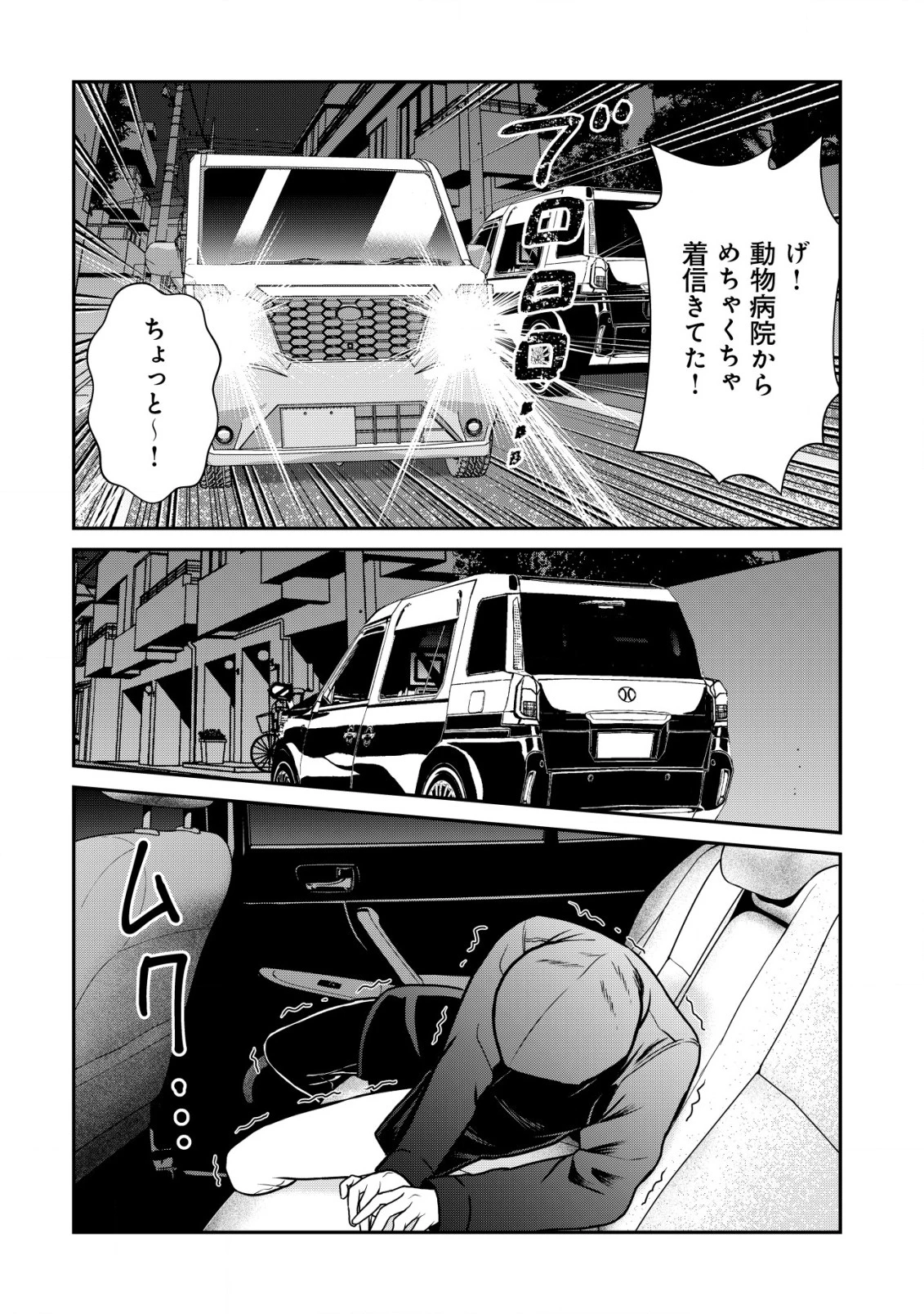 レベリング・マーダー ～週に一度人を殺さないと自分が死んでしまうので、それならいっそ勧善懲悪しようと思います～ 第9話 - 29