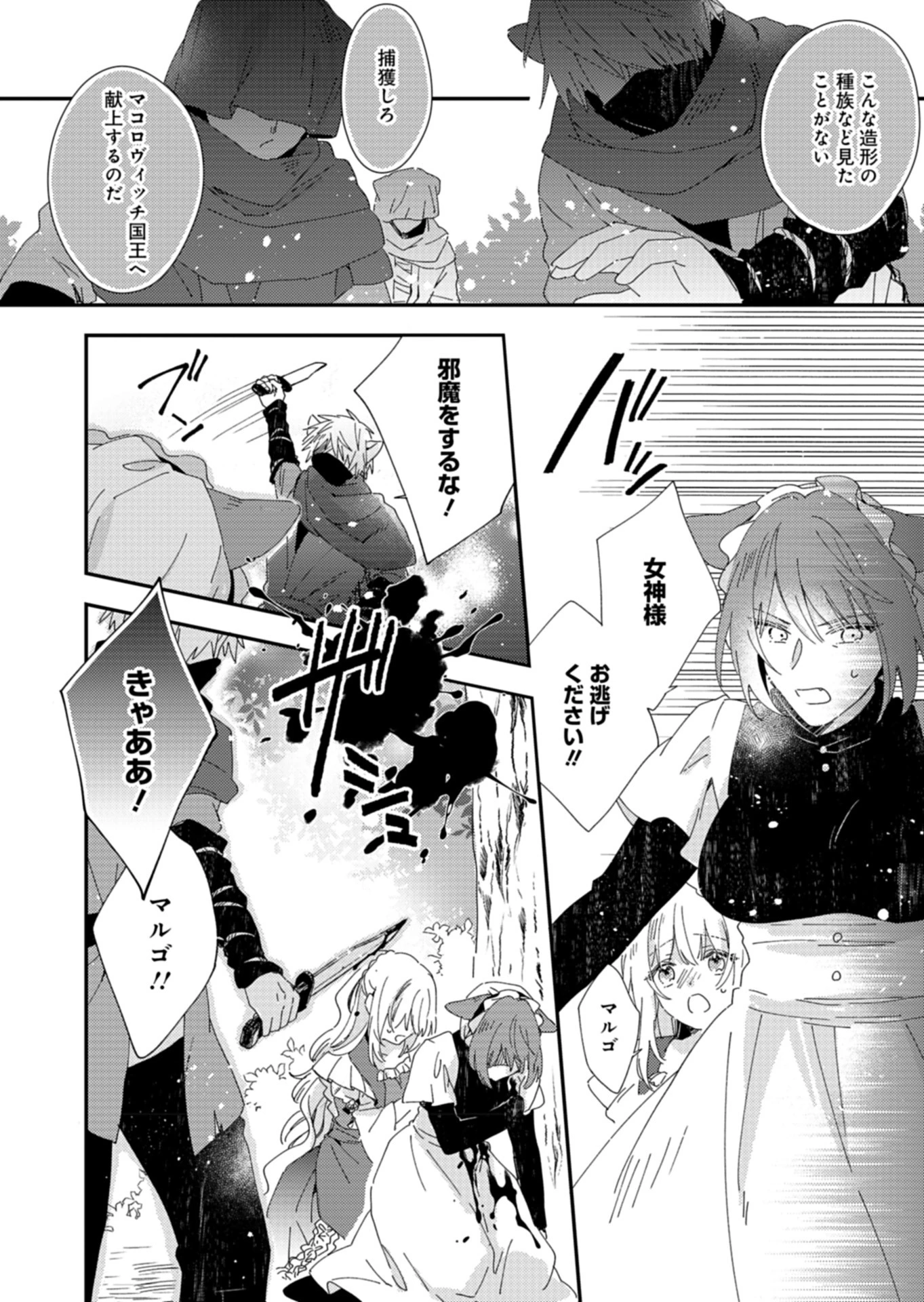 異世界で狼皇帝に蜜月を迫られています 第4話 - 10