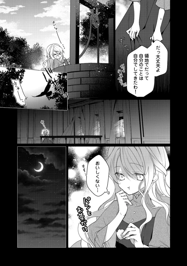 ヒロイン？聖女？いいえ、オールワークスメイドです（誇）！＠COMIC 第3.1話 - 11
