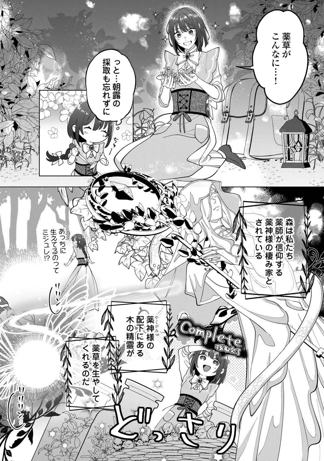 私を追い出すのはいいですけど、この家の薬作ったの全部私ですよ？ 第2話 - 2