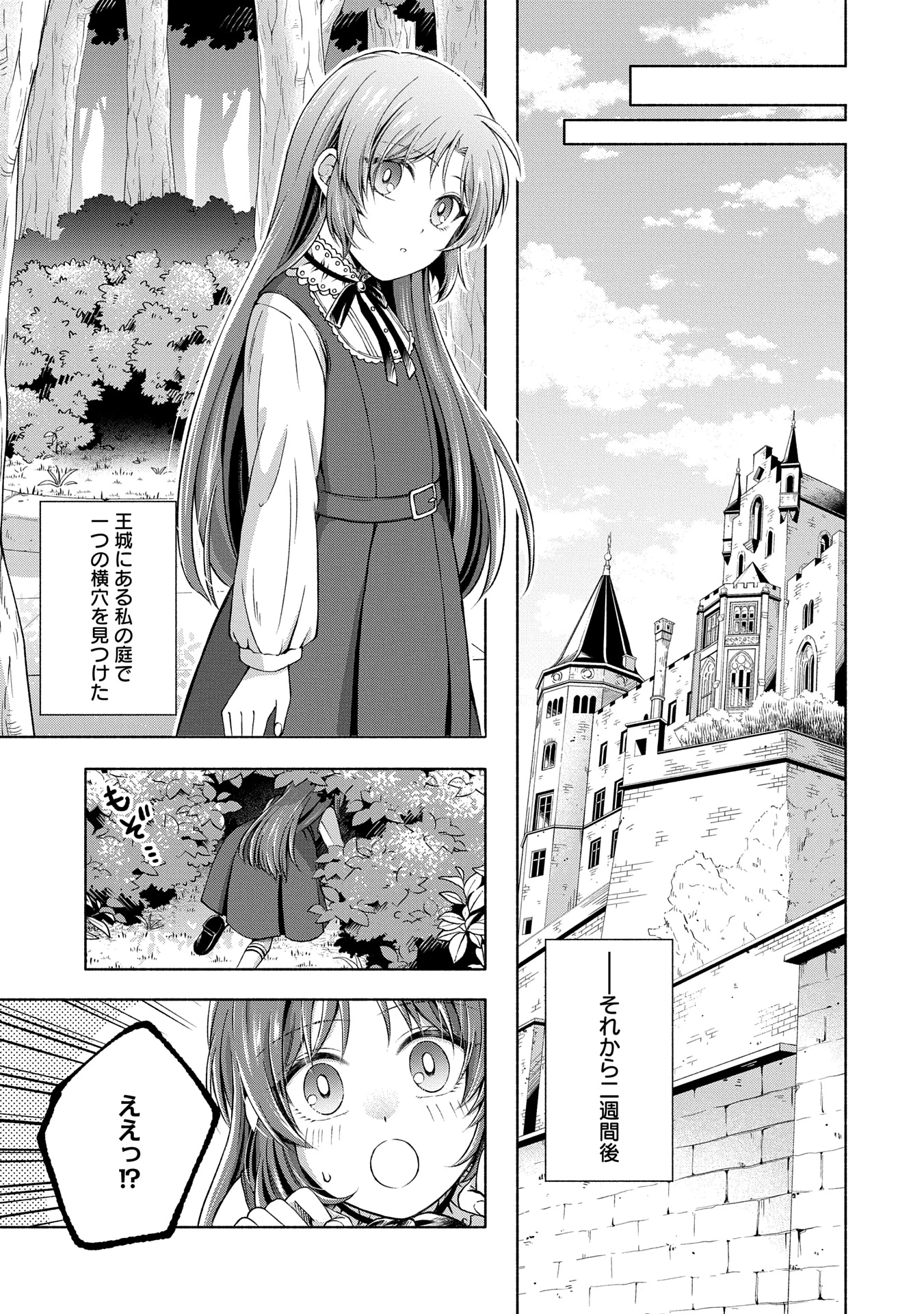 転生した大聖女は、聖女であることをひた隠すZERO～The Great Saint of Remembrance～ 第8話 - 43