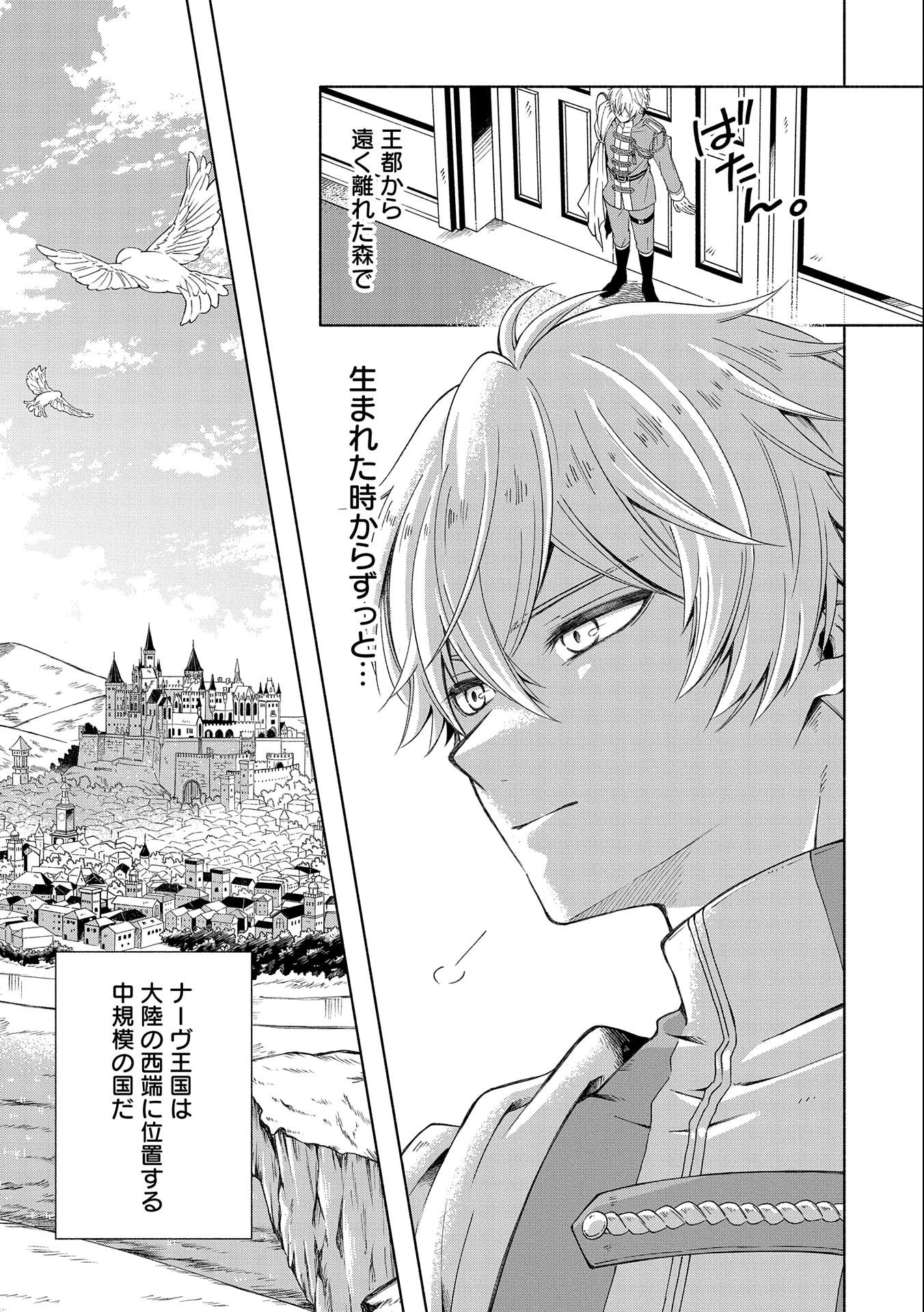 転生した大聖女は、聖女であることをひた隠すZERO～The Great Saint of Remembrance～ 第1話 - 11