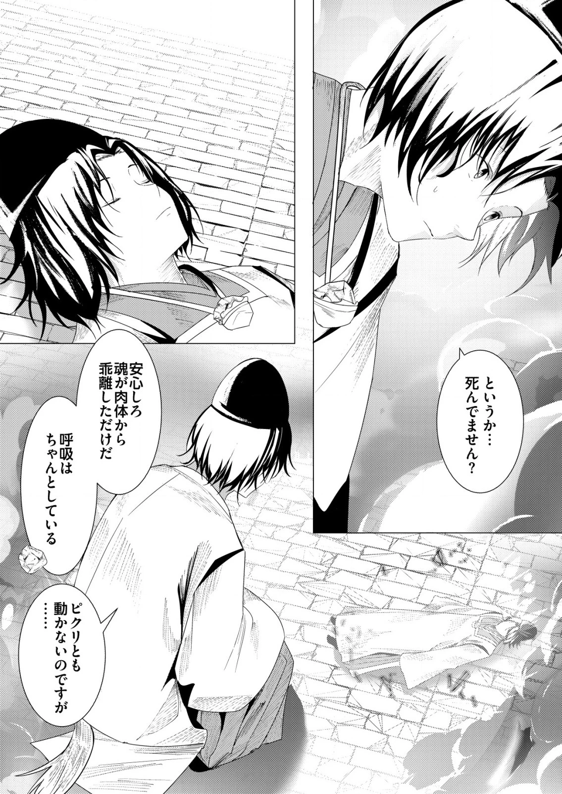 異世界で『賢者……の石』と呼ばれています 第25話 - 2