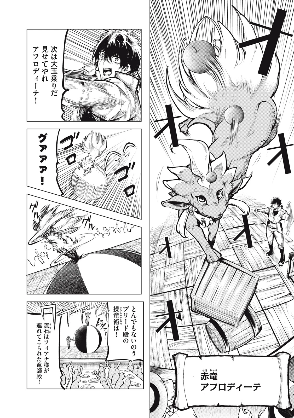 国を追われた竜師さん、拾われた隣国でうっかり無双してしまう。〜弱小国家が大陸最強の竜の楽園になるまで〜 第7話 - 10