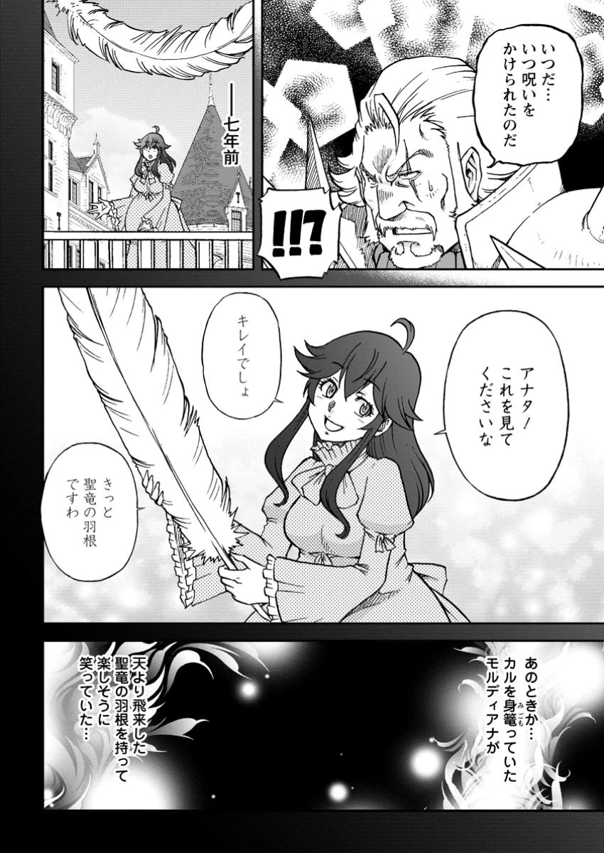 竜王に拾われて魔法を極めた少年、追放を言い渡した家族の前でうっかり無双してしまう～兄上たちが僕の仲間を攻撃するなら、徹底的にやり返します～ 第1話 - 6