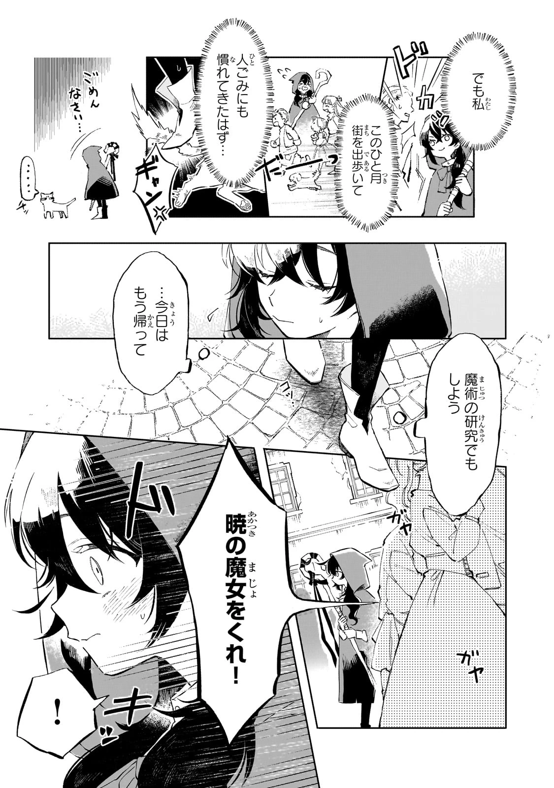 暁の魔女レイシーは自由に生きたい～魔王討伐を終えたので、のんびりお店を開きます～ 第1話 - 9
