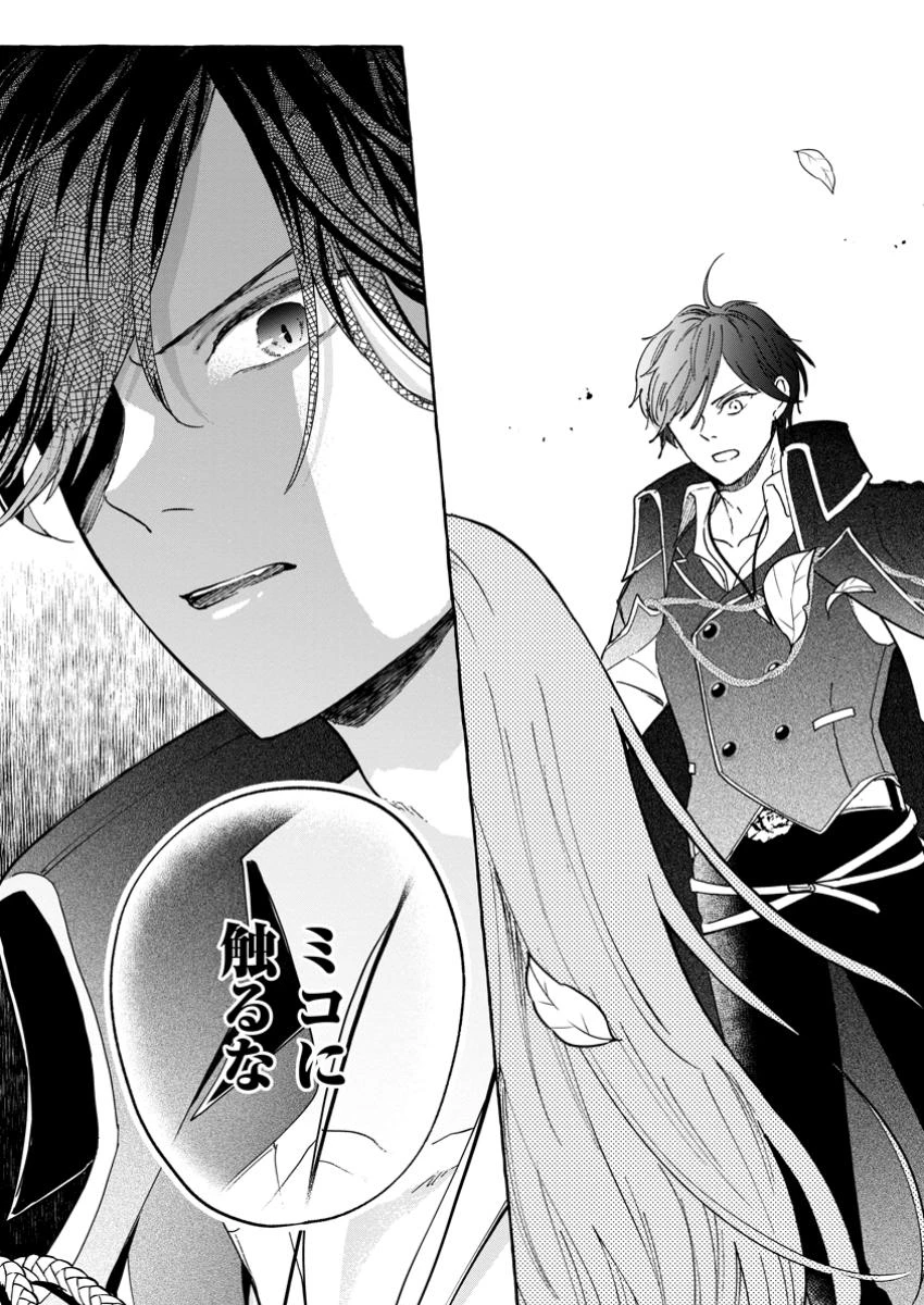 お試しで喚ばれた聖女なのに最強竜に気に入られてしまいました。 第15話 - 6