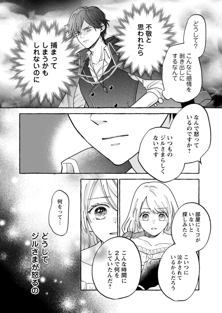お試しで喚ばれた聖女なのに最強竜に気に入られてしまいました。 第15話 - 8