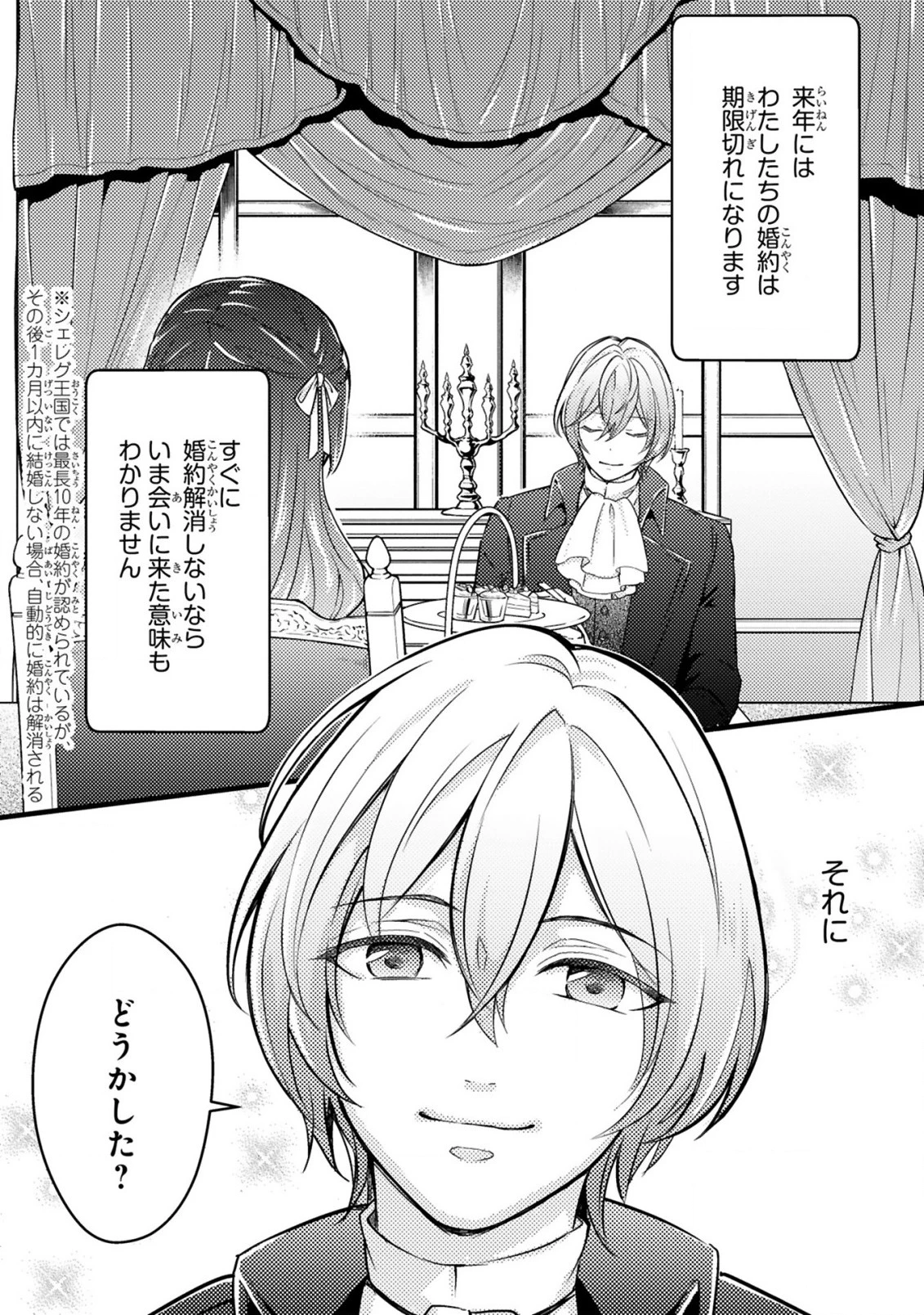 愛になるまであと何日？～偽装婚約のはずなのに、上級騎士になった幼なじみが溺愛してきます～ 第1話 - 23