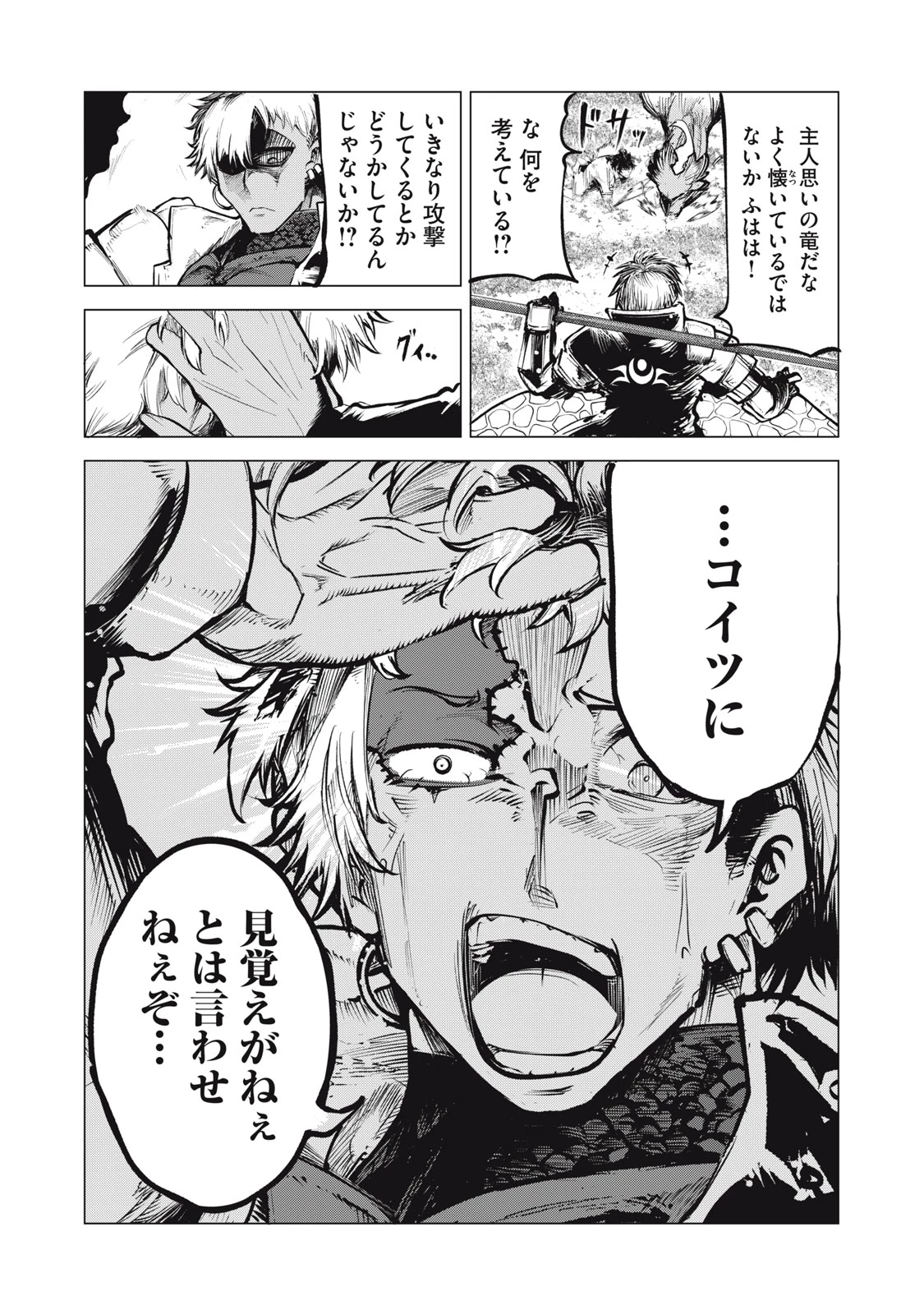 国を追われた竜師さん、拾われた隣国でうっかり無双してしまう。〜弱小国家が大陸最強の竜の楽園になるまで〜 第8話 - 6