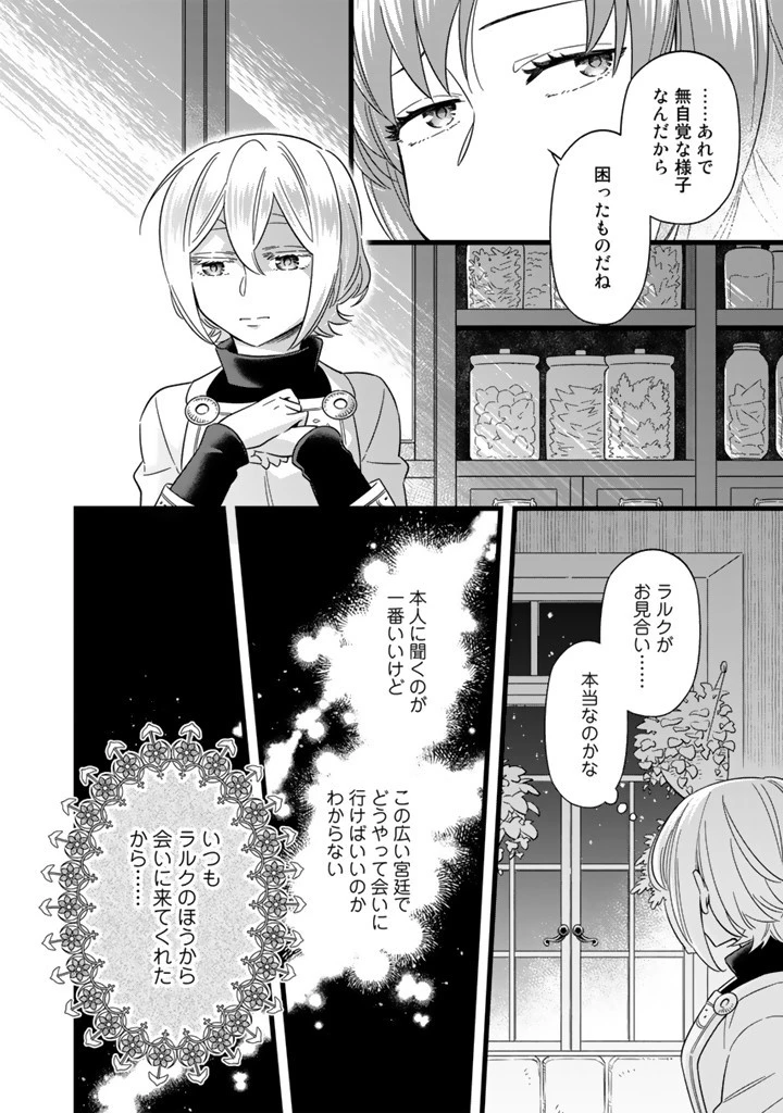 前世聖女だった私は薬師になりました 第8話 - 8