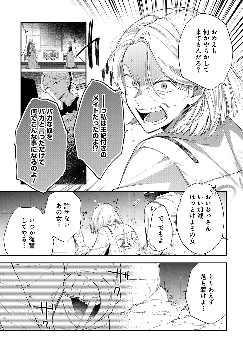 王太子に婚約破棄されたので、もうバカのふりはやめようと思います 第25話 - 31
