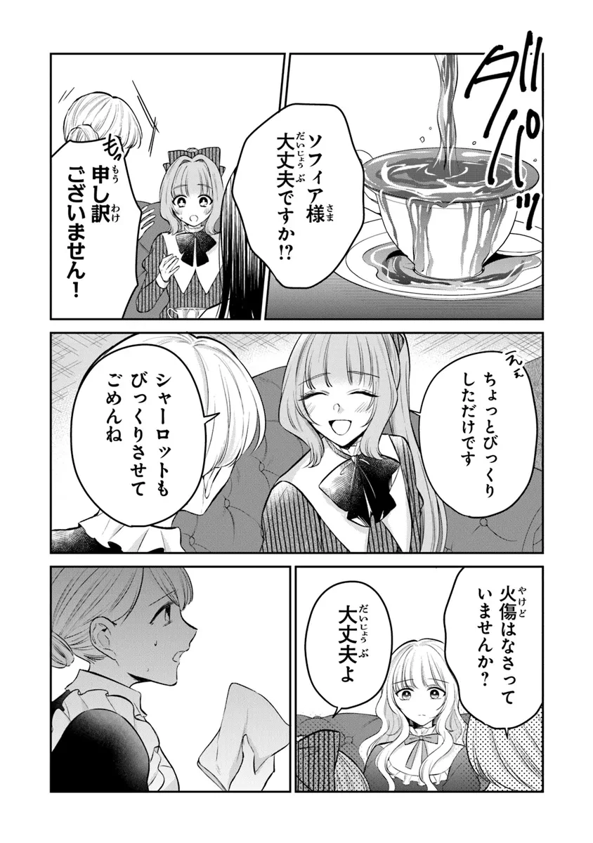 義妹が聖女だからと婚約破棄されましたが、私は妖精の愛し子です 第22話 - 17