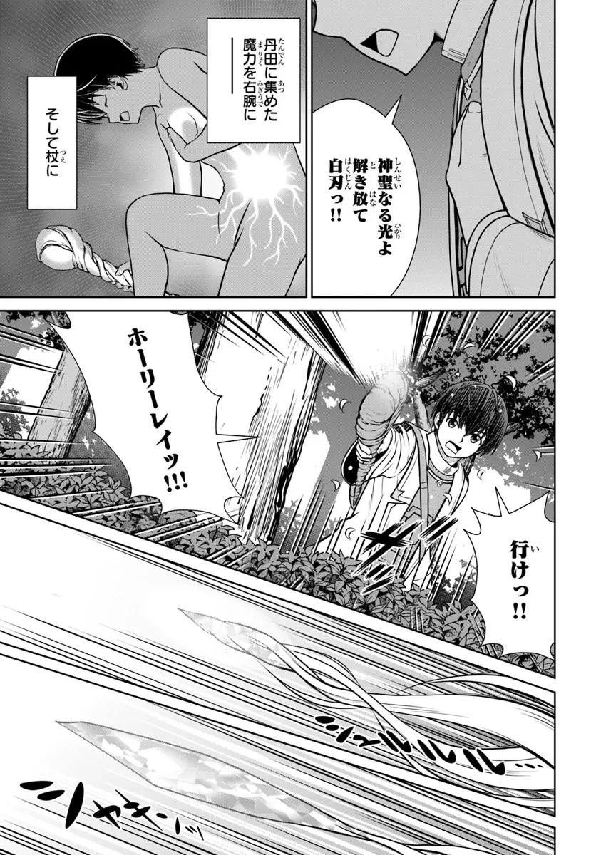 極振り拒否して手探りスタート！　特化しないヒーラー、仲間と別れて旅に出る 第55話 - 9